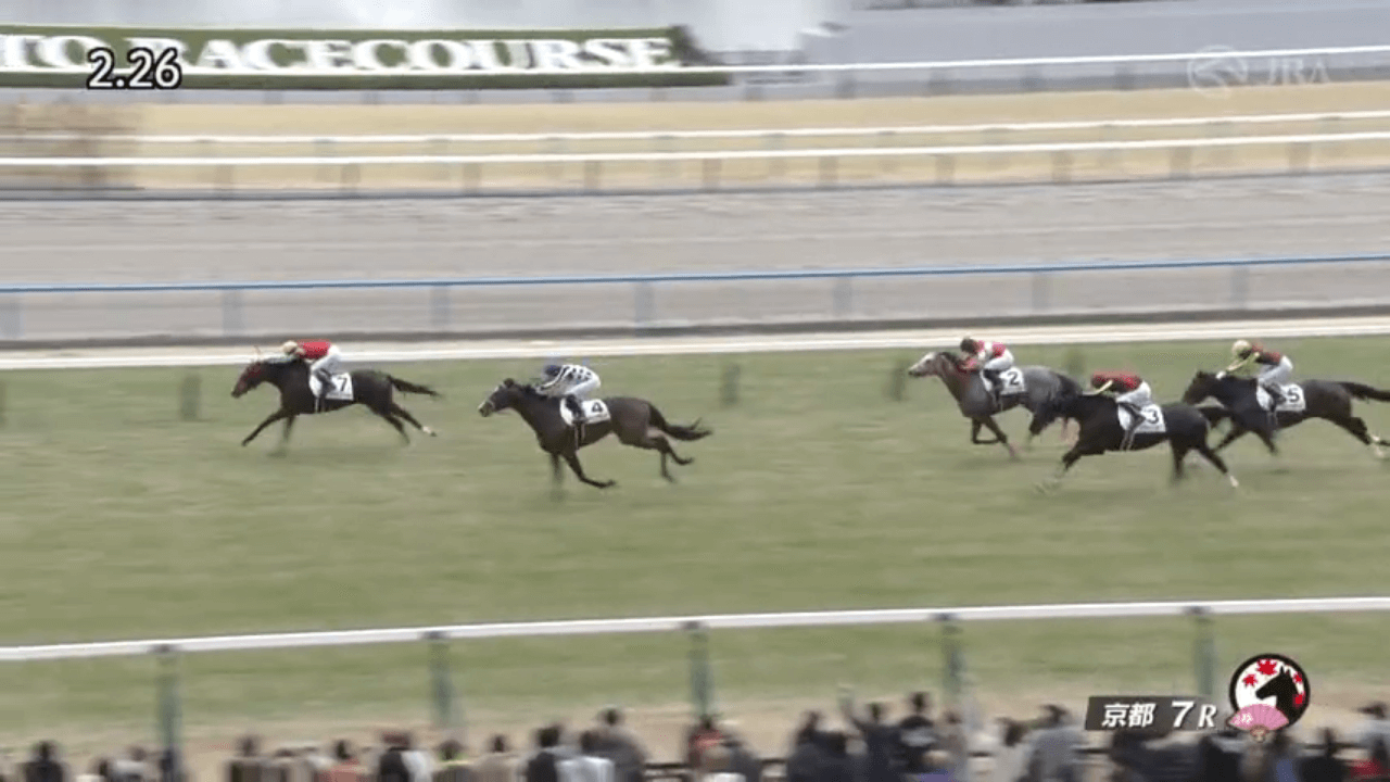 マイネルカンパーナ（ゴールドシップ産駒）が早め先頭から押し切って2勝目