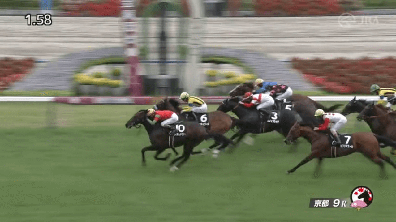 マイネルメモリー（ゴールドシップ産駒）が直線狭いところから鋭く差し切り3勝目