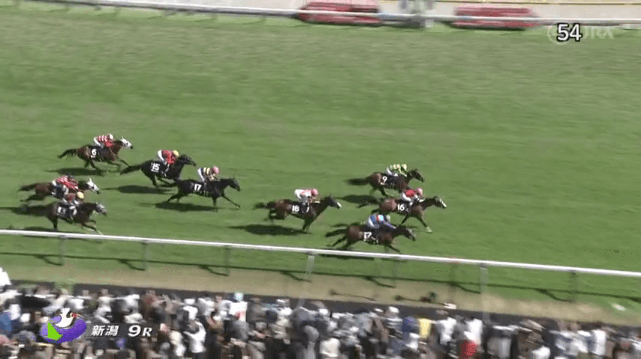 トレブランシュ（オルフェーヴル産駒）が直線競馬に適性見出し2勝目