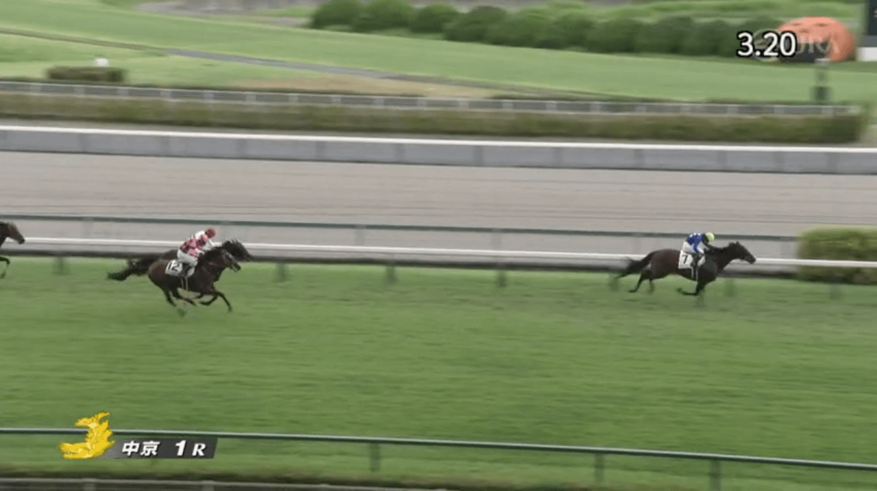 タイセイスラッガー（タイセイレジェンド産駒）がジャンプレース初勝利