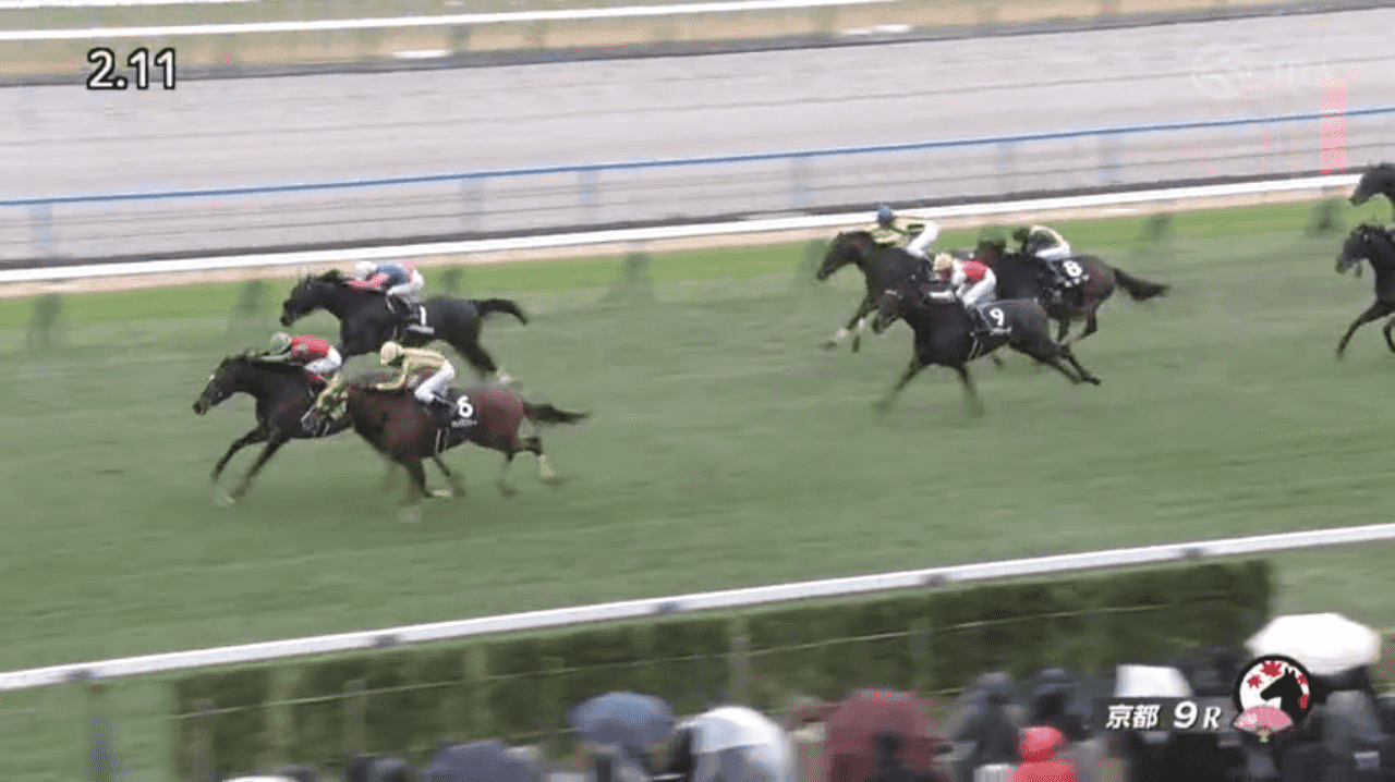 マイネルエンペラー（ゴールドシップ産駒）が直線の競り合い制してオープン入り